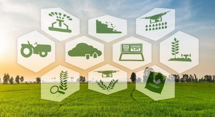 Why Sustainable Farming is the Future: Common Questions Answered